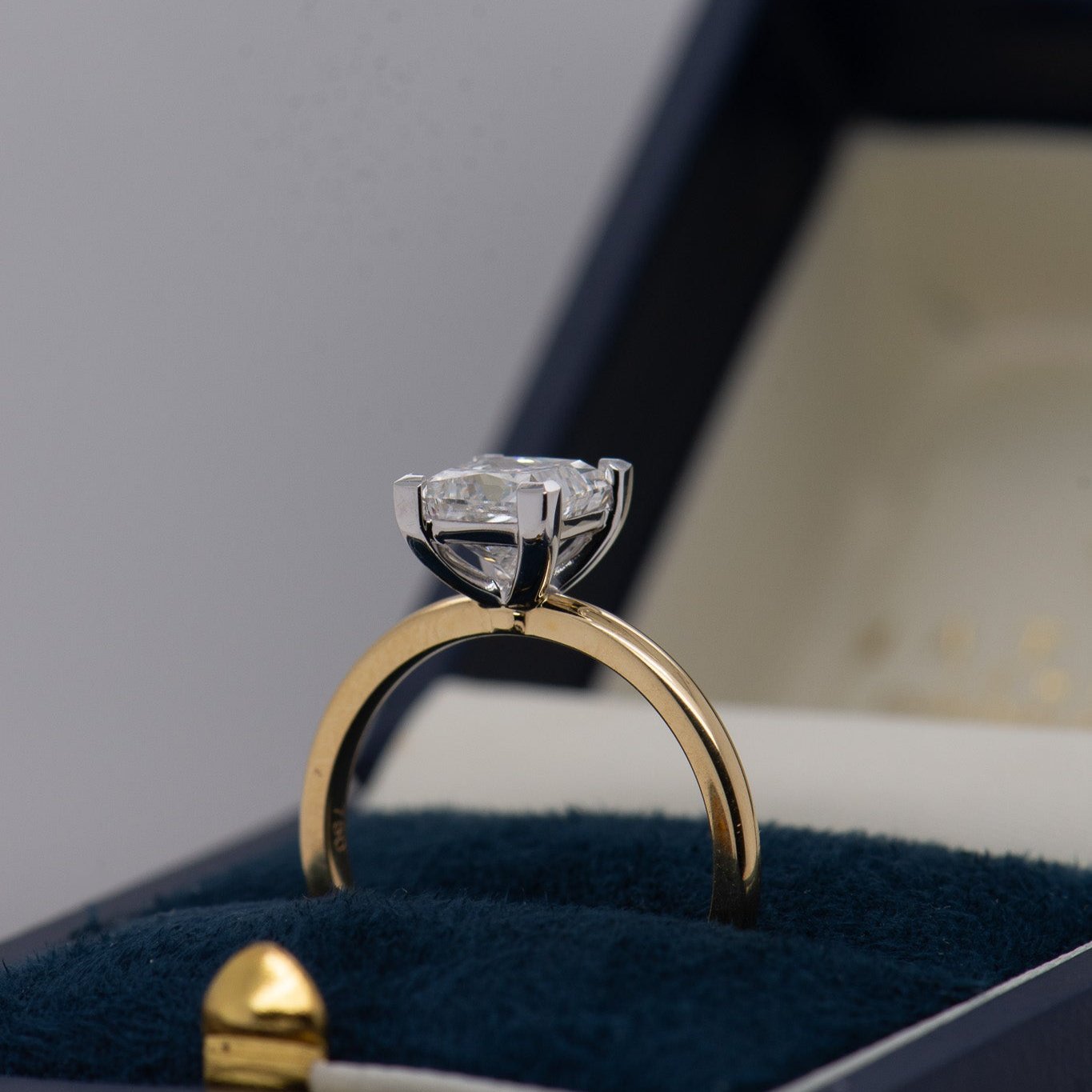 1.53ct Anika | Princess Cut Engagement Ring | R2W