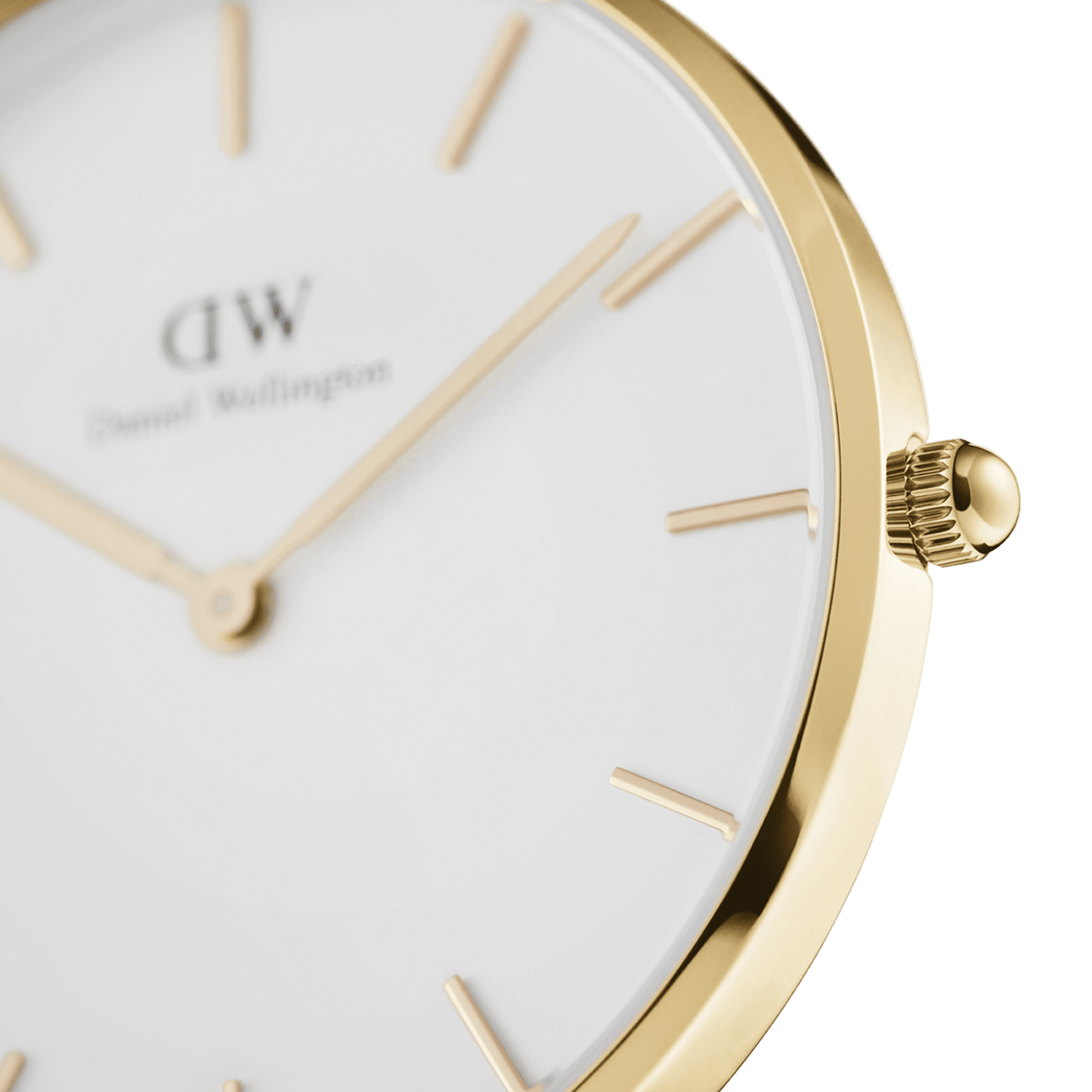 Daniel Wellington Petite Evergold 36mm